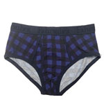 Wayne Brief : Fahrenheitnewyork.com