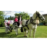 Gatlinburg Area Weekend Getaway | Vacationsmadeeasy.com