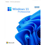 Windows 11 Professional Cd Key : CjsCdkeys