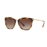 Womens Ralph Sunglasses Brown - Vision Express