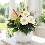 Yvette Flower : Blumenversand Edelweiss