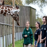 Zsl Whipsnade Zoo : Lovetovisit
