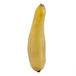 Zucchini Squash - Food Lion