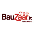 Bauzaar
