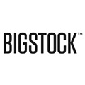 Bigstock Photo