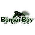 Bonsai Boy