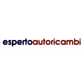 Esperto Autoricambi