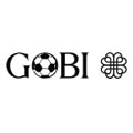 Gobi Cashmere