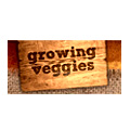 Growing Veggies