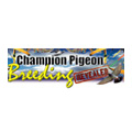 Pigeon Elite