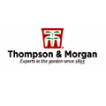 Thompson And Morgan Discount Code