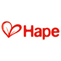 Hape Toys