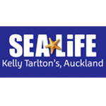 Sea Life